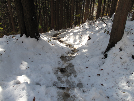 20161125hike (234)